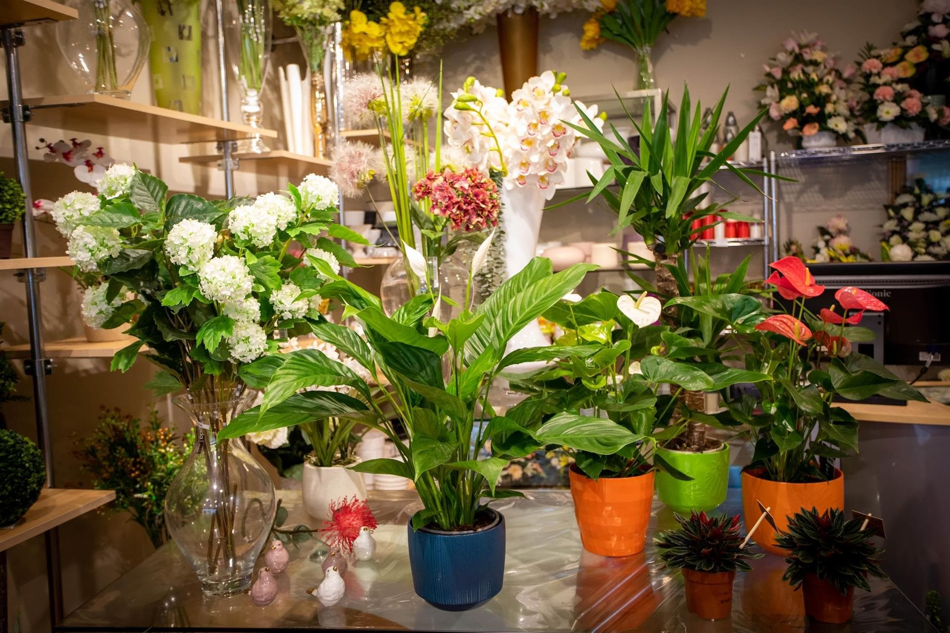 Floristería