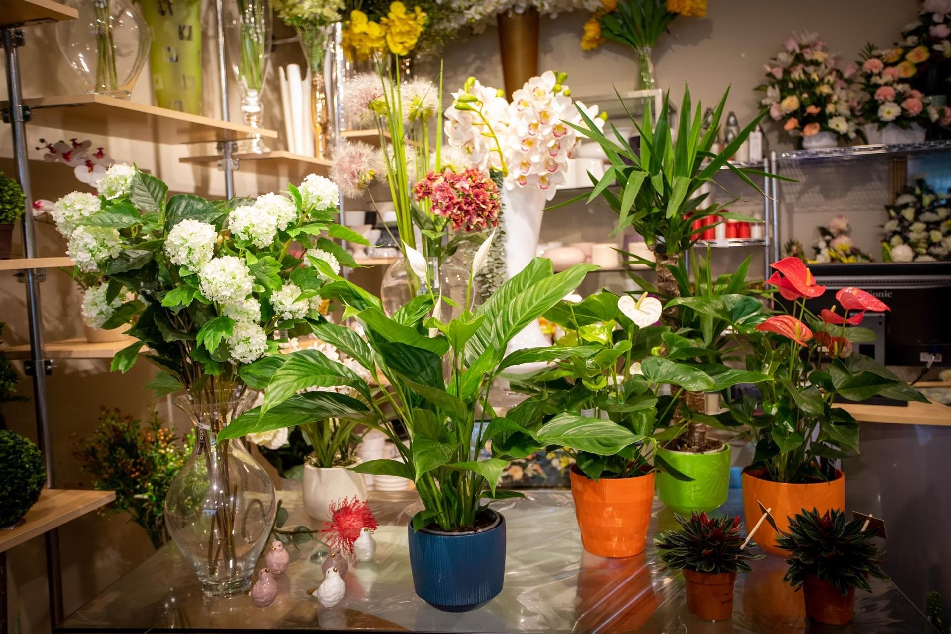 El mejor servicio de floristería en A Estrada