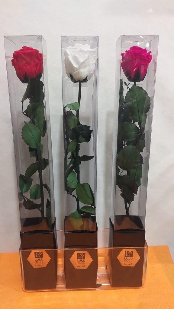 Foto 1 ROSAS PRESERVADAS